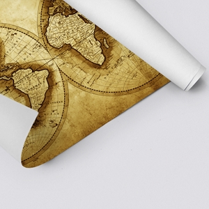 Show details for Antique World Map