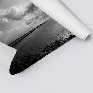 Show details for Black & White Shoreline