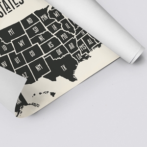 Show details for USA States Map