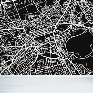 Show details for Edinburgh City Map