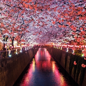 Show details for Flowers Canal