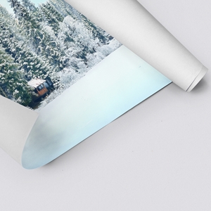 Show details for Winter Snow