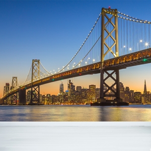 Show details for San Francisco Skyline