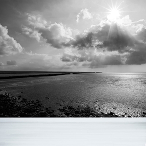 Show details for Black & White Shoreline