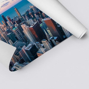 Show details for Chicago Skyline