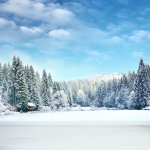 Show details for Winter Snow