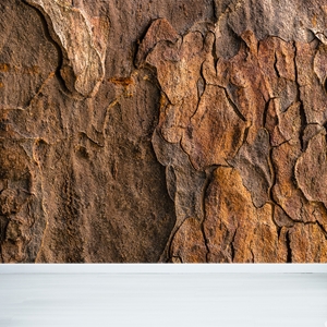 Show details for Tree Bark