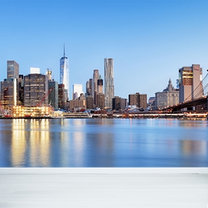 Show details for New York Skyline