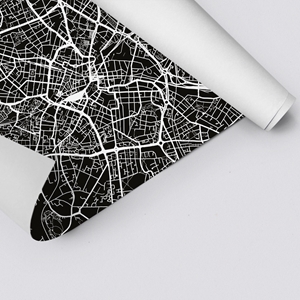 Show details for Birmingham City Map