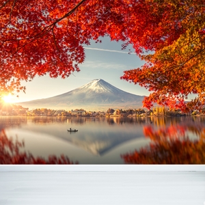 Show details for Mount Fuji