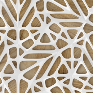 Show details for Lattice Tile