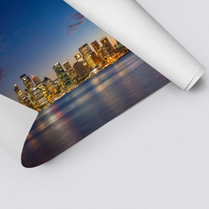 Show details for Sydney Skyline